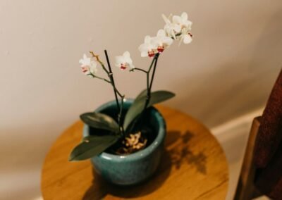 Renata Cysne Advocacia